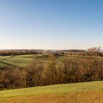 country landscape
